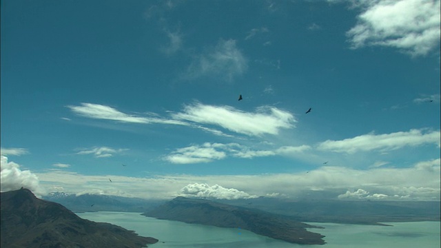 WS, PAN，安第斯秃鹰(鹰头狮)飞过山丘和湖泊，巴塔哥尼亚，阿根廷视频素材