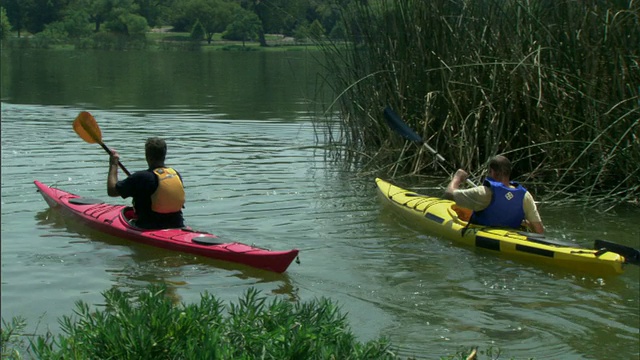 四名男子划着皮划艇在德克萨斯河上划船视频素材