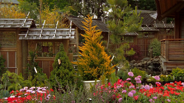WS, MS, DS，成熟夫妇在花园中心选择植物，坎布里亚，美国加利福尼亚州视频下载