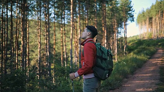 男游客在森林里欣赏风景视频下载
