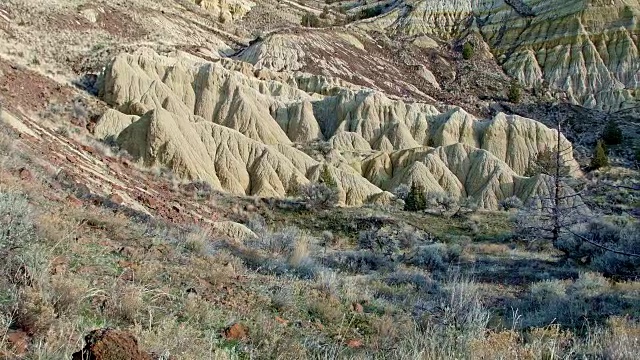 冬季荒地形成约翰戴化石床萨顿山画山俄勒冈13视频素材
