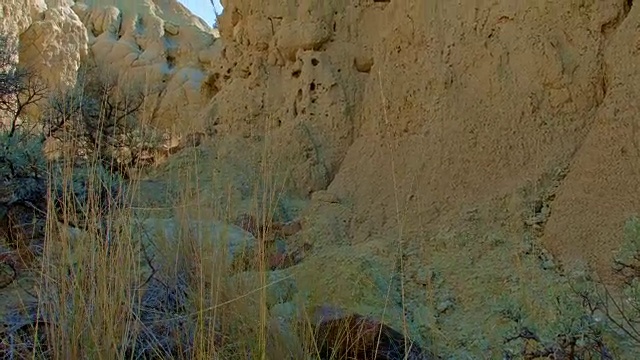 夏季荒地形成约翰戴化石床萨顿山3油漆山俄勒冈21视频下载