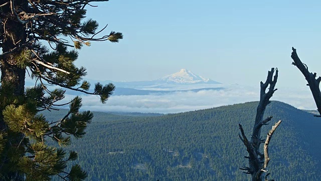 1 .俄勒冈州杰斐逊山2 .白雪皑皑的火山和薄雾视频素材