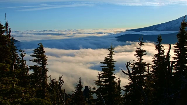 日落森林雾山侧翼的时间推移逆温胡德山俄勒冈喀斯喀特3视频素材