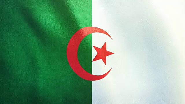 4k高度详细的阿尔及利亚旗帜-可循环视频下载