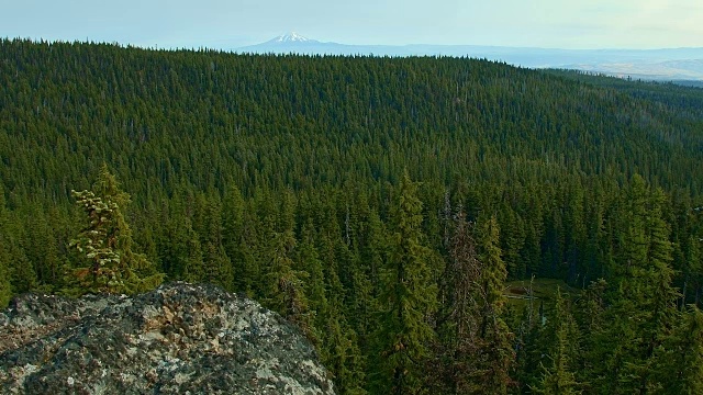森林景色和隐藏的湖俄勒冈州胡德山瀑布19视频素材