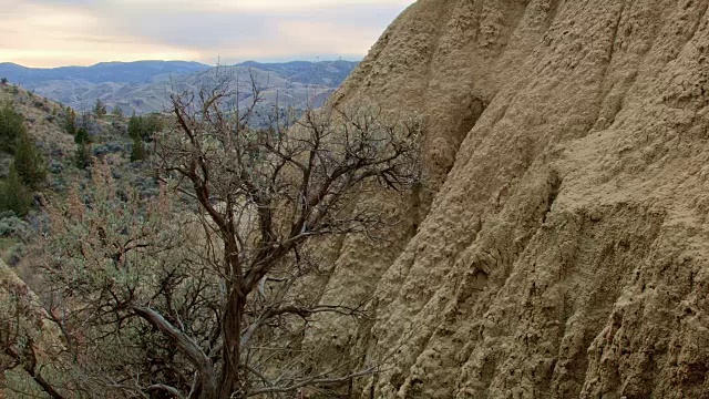 不毛之地干燥的沙漠鼠尾草刷约翰天化石床萨顿山画山俄勒冈11视频下载