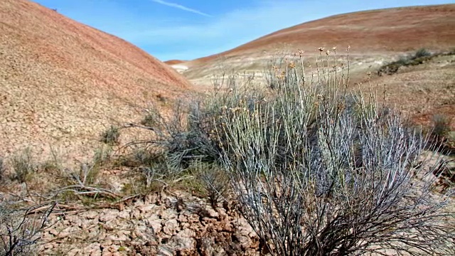 明亮的正午描绘了山峦和灌木春天萨顿山约翰戴大盆地高沙漠哥伦比亚高原视频素材