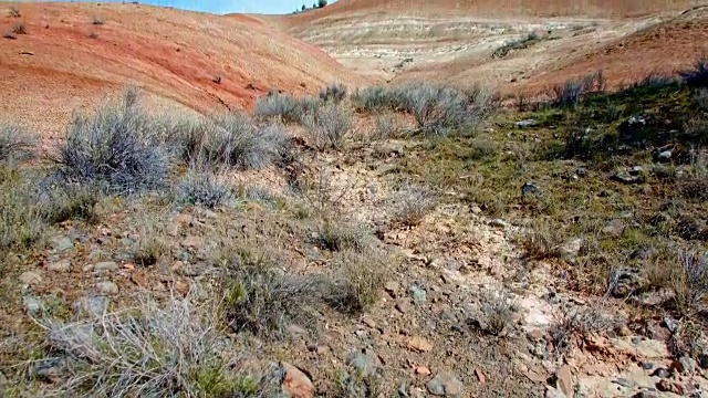明亮的正午画山春天萨顿山约翰戴大盆地高沙漠哥伦比亚高原视频素材