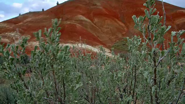 黄昏画山云彩和荞属科植物多彩的地球2春天萨顿山约翰戴大盆地高沙漠哥伦比亚高原视频素材
