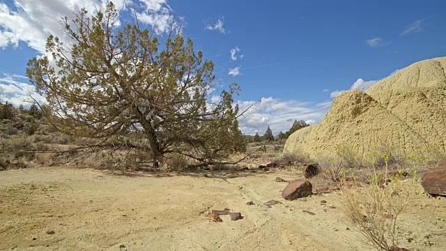 不毛之地，黄色粘土，约翰戴化石床，形成，云和阴影漂移在一个偏远的沙漠山萨顿山靠近画山12视频素材