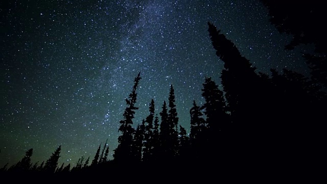 暗剪影的冷杉和松树林对银河星空从麋鹿草原胡德山视频素材