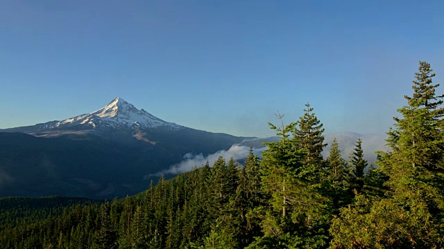 黎明的薄雾和雾在一个蓝色的天空森林胡德山在夏天从丢失的湖丘视频素材