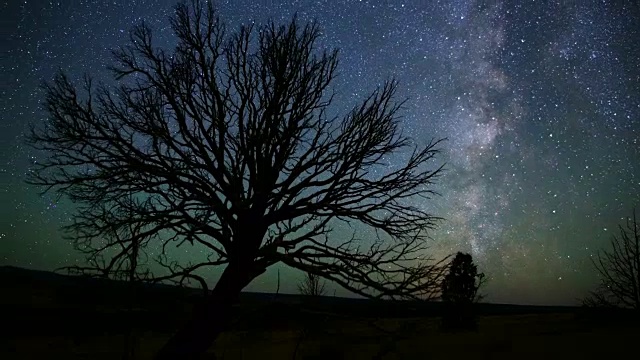 史诗般的银河在沙漠后面死的西部罗柏树和UFO红色的圆球灯90度转弯，并在马勒尔国家野生动物保护区附近的南斯蒂恩斯山视频素材
