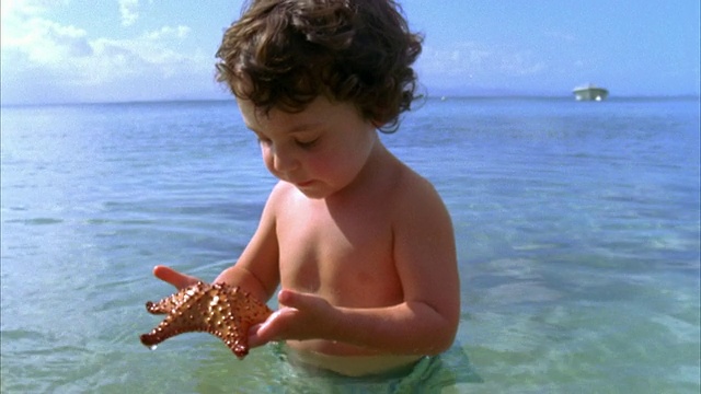 波多黎各别克斯岛，男孩(2-3)在海里和海星玩耍视频下载