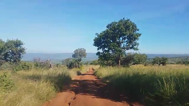 崎岖的土路在Akagera狩猎，卢旺达视频下载