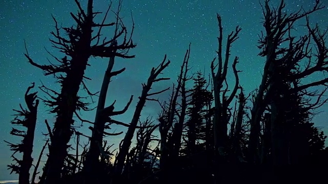 水灵灵的夜晚，繁星点点的天空，胡德山森林大火后，死树断枝视频素材