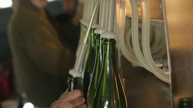 葡萄酒装瓶视频素材