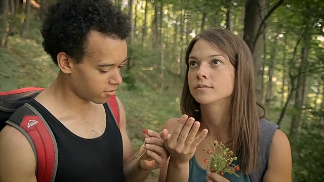 在森林中寻找并食用野草莓视频下载