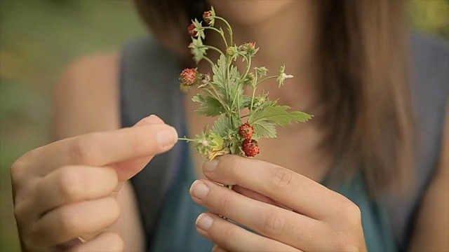 徒步旅行的女孩在吃野草莓视频下载