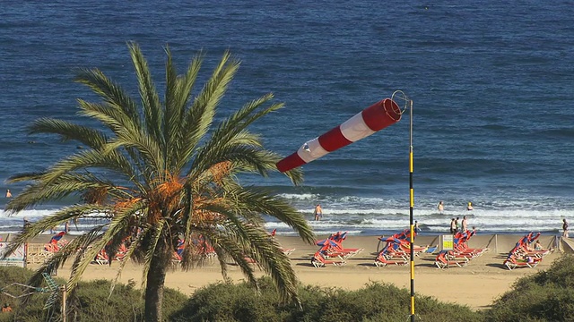 HA, MS, Playa del Ingles，棕榈树和windsock在前景，大加那利群岛，加那利群岛，西班牙视频下载
