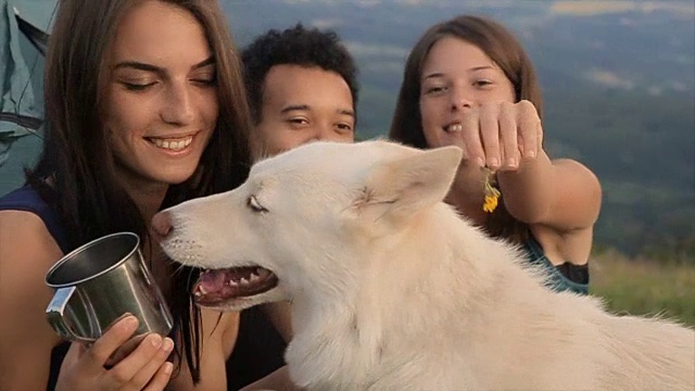 和宠物朋友在山顶露营视频素材