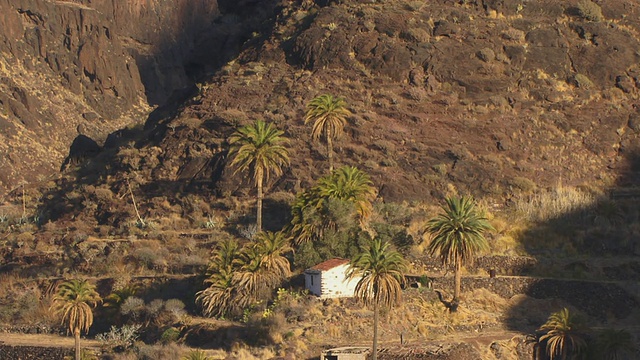 被棕榈树环绕的WS ZI住宅/西班牙大加那利岛视频下载