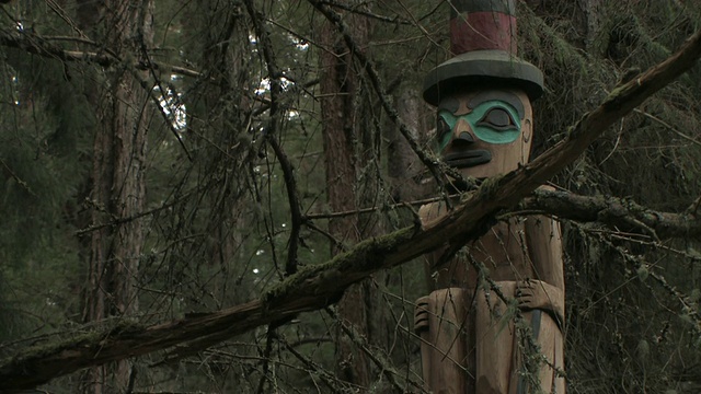 美国阿拉斯加州锡特卡，森林中的图腾柱视频素材