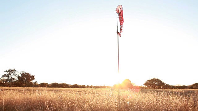 T/ lms Sunrise在农场跑道上，风向标志/林波波/南非视频素材