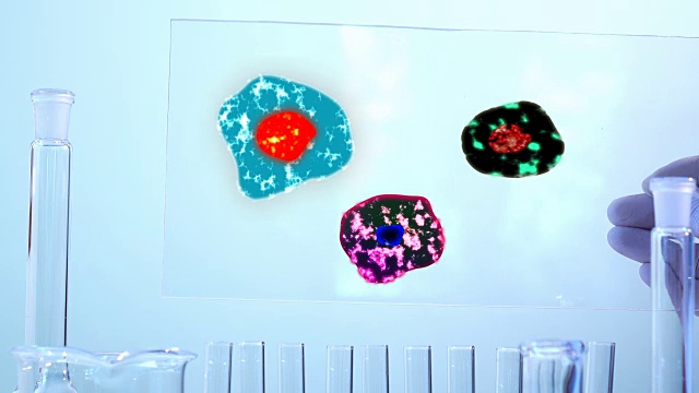 细菌动画在实验室测试视频素材