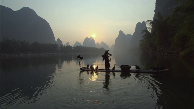 黄昏时分，广西漓江上的鸬鹚渔民向镜头展示鸬鹚视频下载