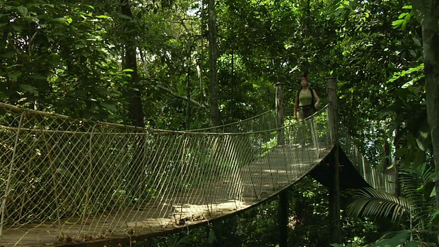 在巴西玛瑙斯的丛林中，穿过树冠的女人视频下载