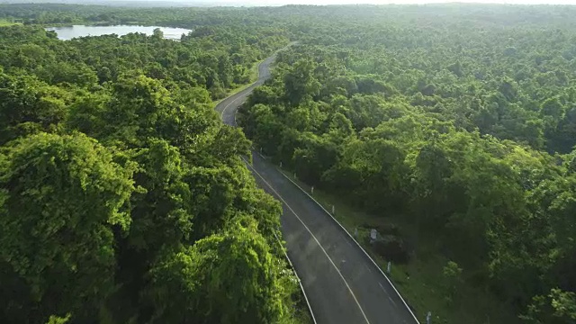 森林中道路的鸟瞰图视频下载