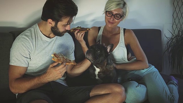 夫妇和宠物一起吃饭视频素材