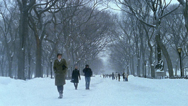 2003年，暴风雪期间，纽约中央公园的步行者在购物中心散步视频下载
