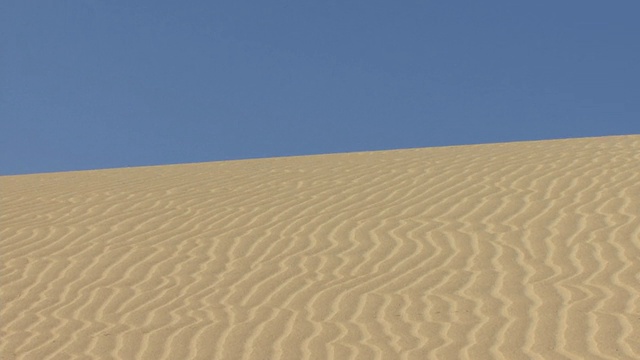 MS, TU，晴朗天空下的沙丘/富埃特文图拉，加那利群岛，西班牙视频素材