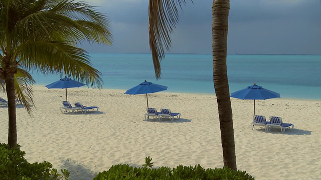 WS, HA，面朝大海的遮阳伞下的沙滩椅，前景中的棕榈树，阿巴科群岛，巴哈马视频素材