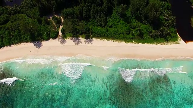 鸟瞰图:警察湾，Mahé岛，塞舌尔视频下载