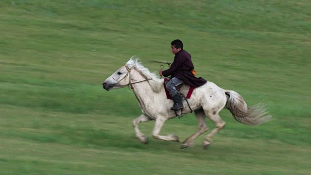 蒙古:疾驰的马和骑手视频下载