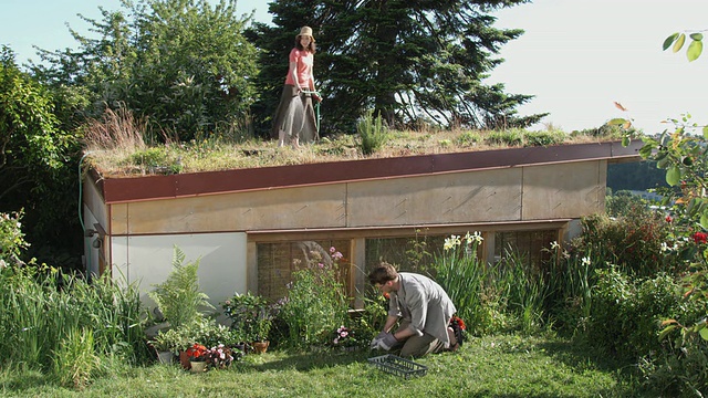 女人在绿色屋顶上浇草和植物，而男人在花园下面种花/西雅图，华盛顿，美国视频素材