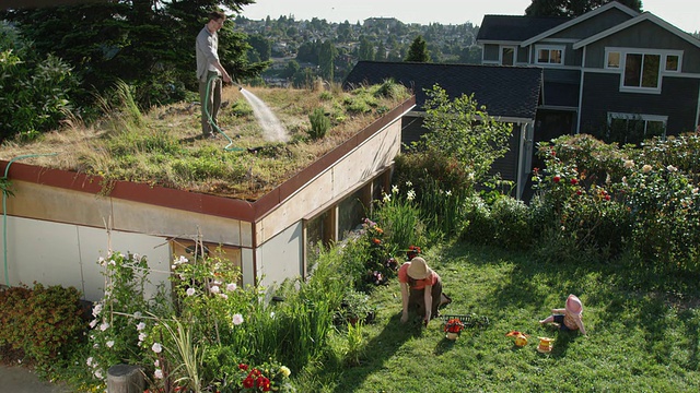 美国华盛顿州西雅图，男人在绿色屋顶上给植物浇水，而女人和婴儿在花园里玩耍视频下载