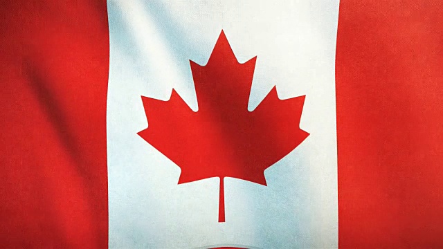 4k高度详细的加拿大国旗-可循环视频素材