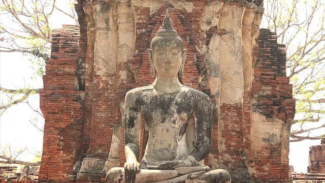 在泰国大城府玛哈那寺的废墟中坐着打坐的佛像视频素材