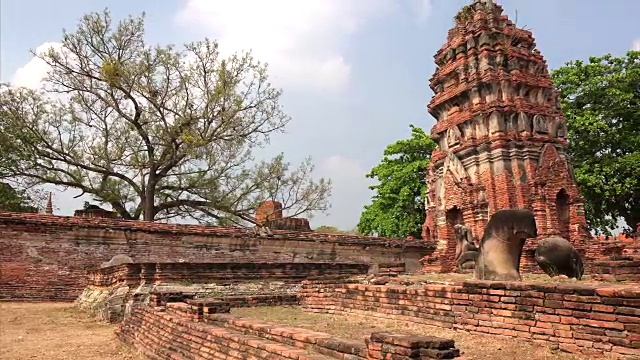 泰国大城府玛哈塔寺遗址视频素材