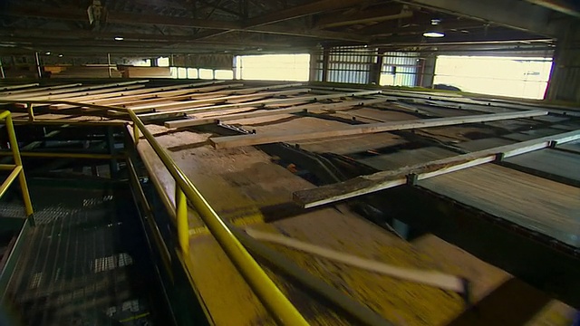 美国俄勒冈州波特兰市木材公司在输送机上移动木板视频素材