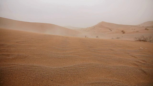 有风的沙丘视频素材