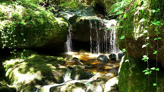 山间河流流过苔藓覆盖的石头视频素材