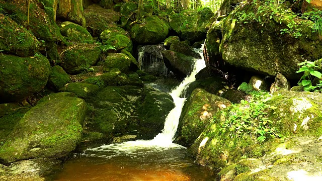 山间河流流过苔藓覆盖的石头视频下载