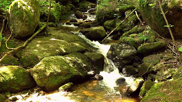 山间河流流过苔藓覆盖的石头视频素材