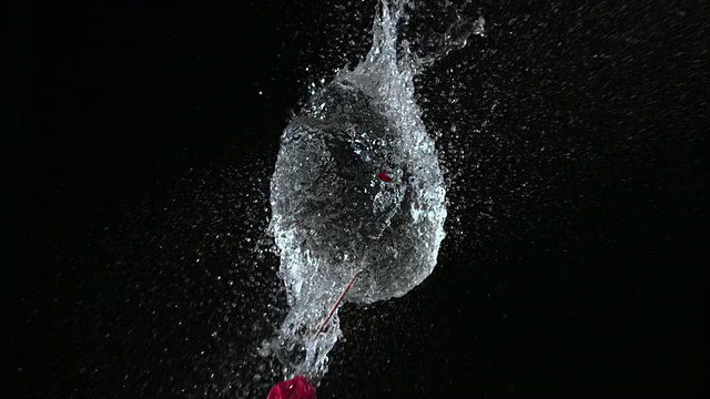 SLO MO, MS，牙签破水填充红色气球视频素材
